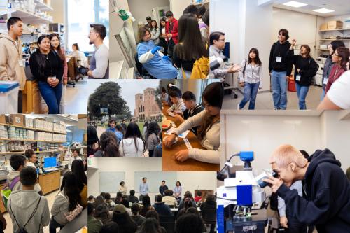 collage of high school students visiting the center