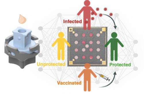 A graphic representation of the paper's findings.