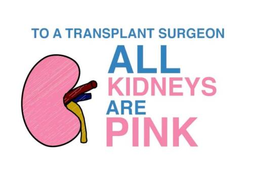 A graphic illustration of a kidney and the message "TO A TRANSPLANT SURGEON, ALL KIDNEYS ARE PINK"