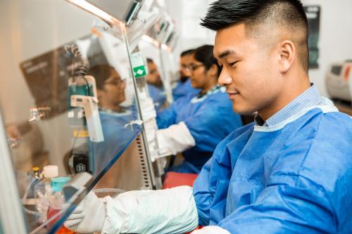 Researchers sit side by side in front of a hooded laboratory bench at UCLA.