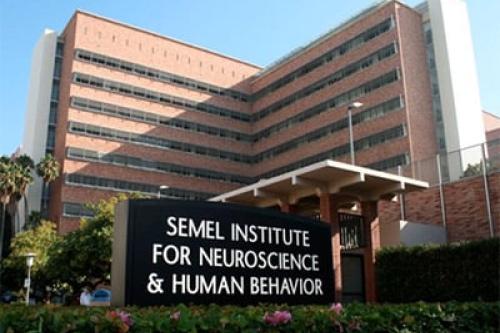 An exterior shot of the Semel Institute of Neuroscience and Human Behavior at UCLA. 