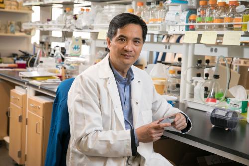 Song Li sits at a lab bench and holds a sample. 