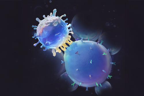 Illustration of a UCLA-developed SynVAC activating a T-cell.