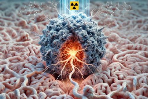 Illustration by the Pajonk Lab at UCLA.