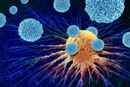 T cells attacking a tumor cell in a solid cancer, illustrating immune response and T cell exhaustion in cancer immunotherapy.