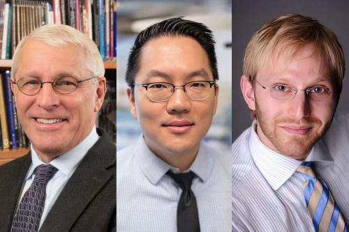 A three-photo collage featuring the professional headshots of UCLA scientists: from right to left Owen Witte, John K. Lee and Dino Di Carlo.