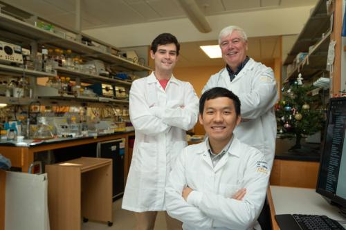 UCLA researcher Michael Carey group photo with team