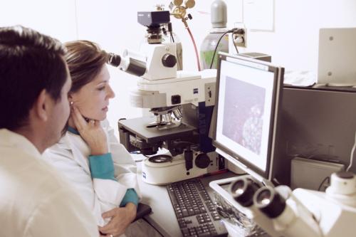 Melissa Spencer and another researcher look upon a screen in a UCLA lab. 