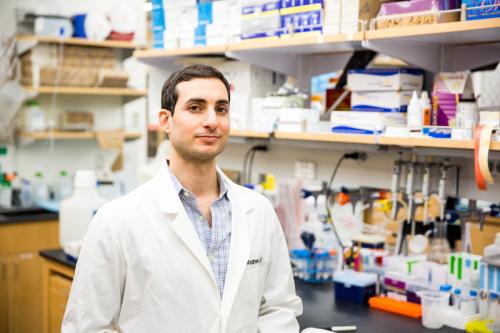 Andrew Goldstein is an assistant professor in residence in the UCLA departments of Urology and Molecular, Cell and Developmental Biology, as well as a member of the Broad Stem Cell Research Center and Jonsson Comprehensive Cancer Center, both at UCLA.