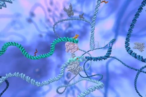 Graphic representation of CRISPR-Cas9 repairing the mutation in the gene that causes sickle cell disease (shown in light blue). 