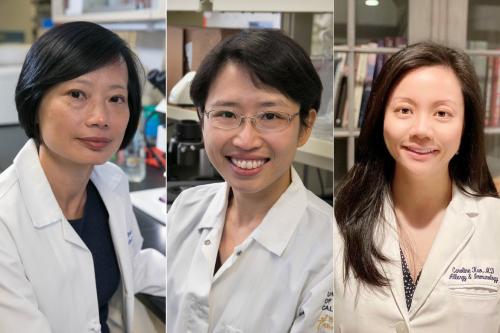 Dr. Sophie Deng, Yvonne Chen and Dr. Caroline Kuo 3-panel image