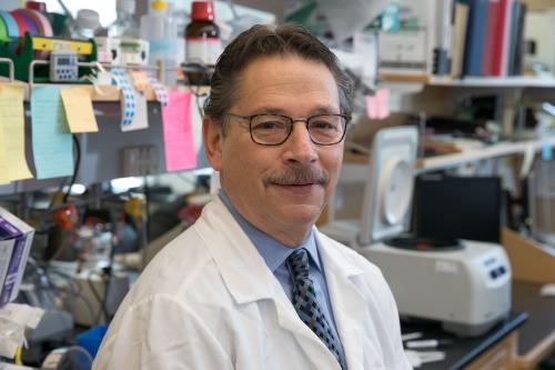 Headshot of Donald Kohn in the lab