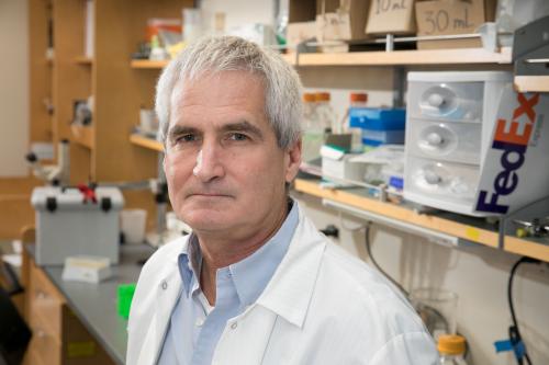 Photo of Harley Kornblum, M.D., Ph.D. in the lab