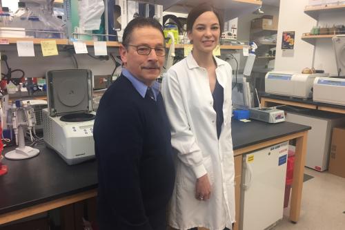 Led by Dr. Donald Kohn and Katelyn Masiuk, the researchers engineered a “viral vector” that would turn on the FoxP3 gene only in regulatory T cells — and not in other types of cells.