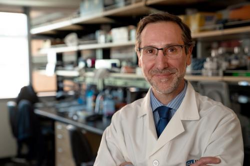 Headshot of Antoni Ribas in a lab coat 