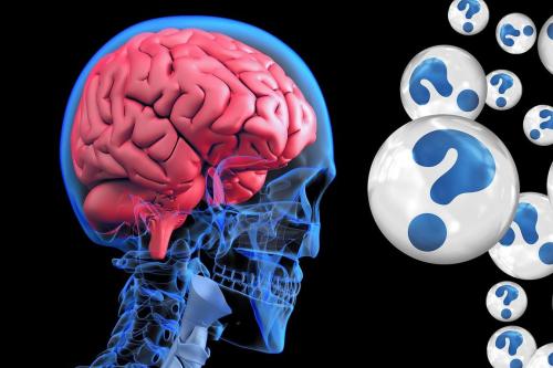 X-ray stylized image of brain in human skull.