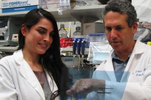 CSUN Bridges grant trainee Sarah Imam and UCLA mentor Dr. Michael Teitell