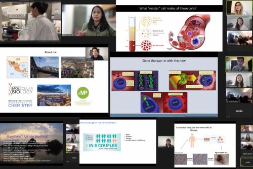 Collage: UCLA Broad Stem Cell Research Center’s inaugural cohort of trainee outreach mentors led virtual field trips at two Los Angeles County public high schools.
