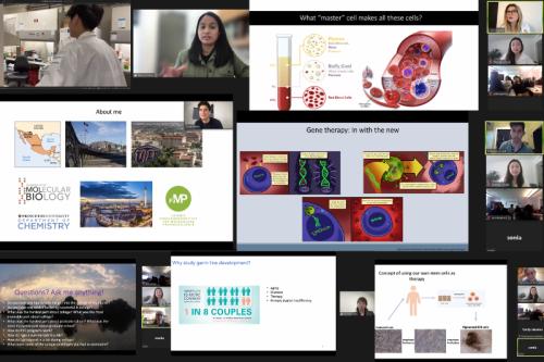 Collage: UCLA Broad Stem Cell Research Center’s inaugural cohort of trainee outreach mentors led virtual field trips at two Los Angeles County public high schools.