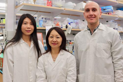 Lili Yang (center) with first authors Xiaoya Ma (left) and Stefano Di Biase