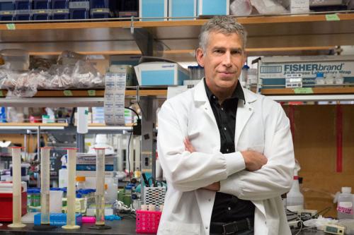 Tom Graeber Headshot