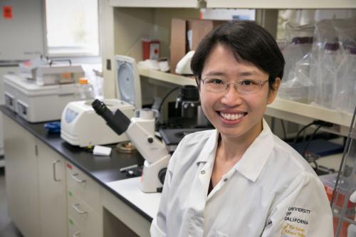 Yvonne Chen in the lab.