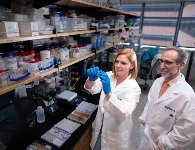 Two UCLA scientists are photographed in the lab together. Katie Campbell, PhD, wears a labcoat and blue gloves, and Antoni Ribas, MD, PhD. also wears a white labcoat and stands with his hands in his pockets.