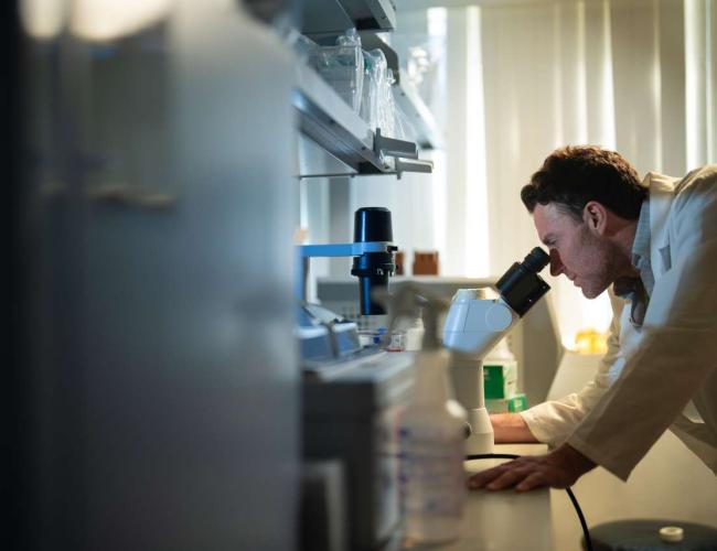 UCLA scientist David Nathanson leans in to look inside a microscope. He wears a white labcoat.