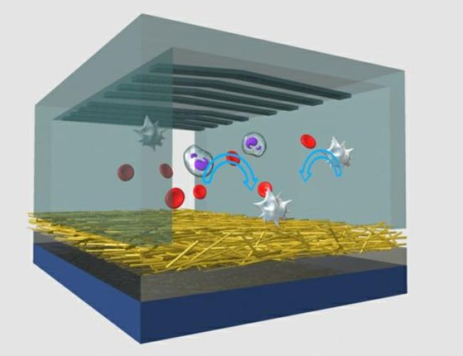 NanoVelcro chip graphic illustration