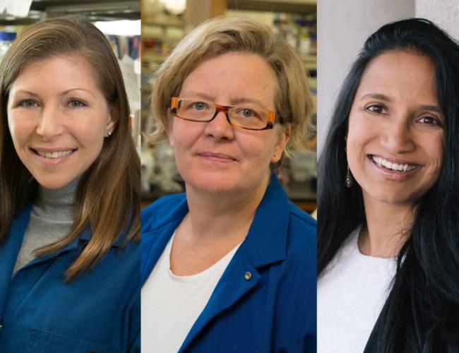 From left to right: Dr. Heather Christofk, Dr. Kathrin Plath and Dr. Aparna Bhaduri