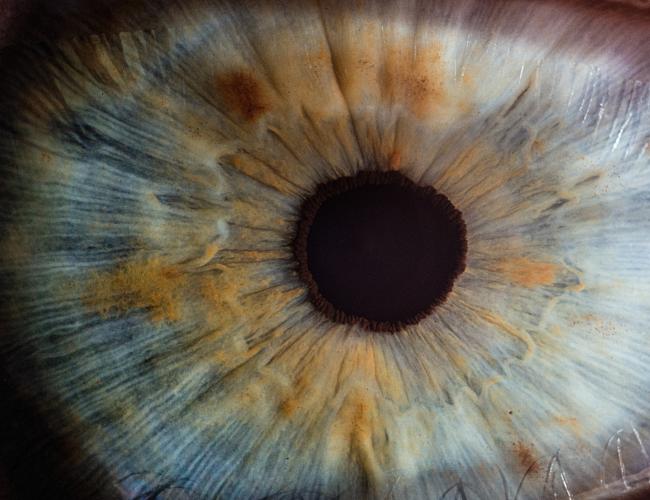 Close-up image of a human eye