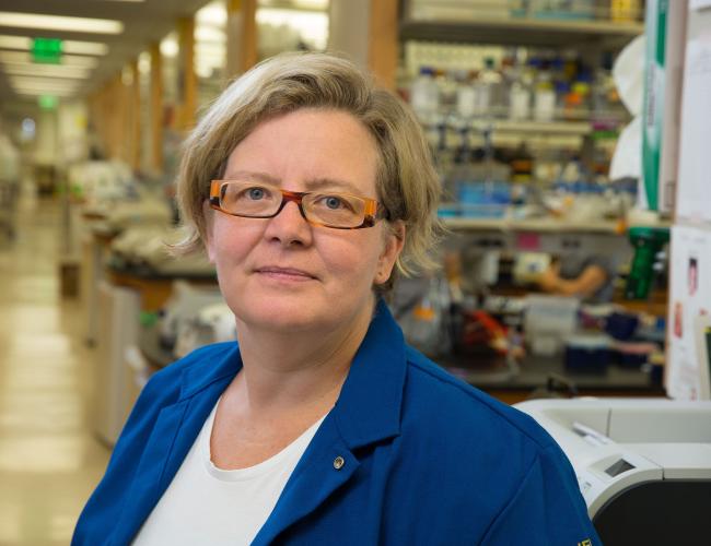 UCLA scientist Kathrin Plath in the lab