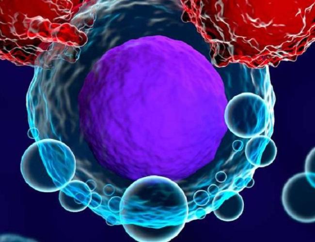 Graphic image of T cells