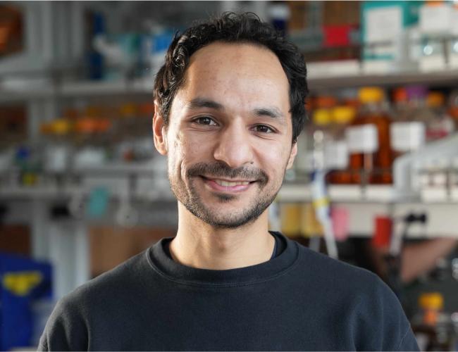 UCLA scientist Mohamad Abedi smiles in a lab. He wears a grey crewneck sweater.