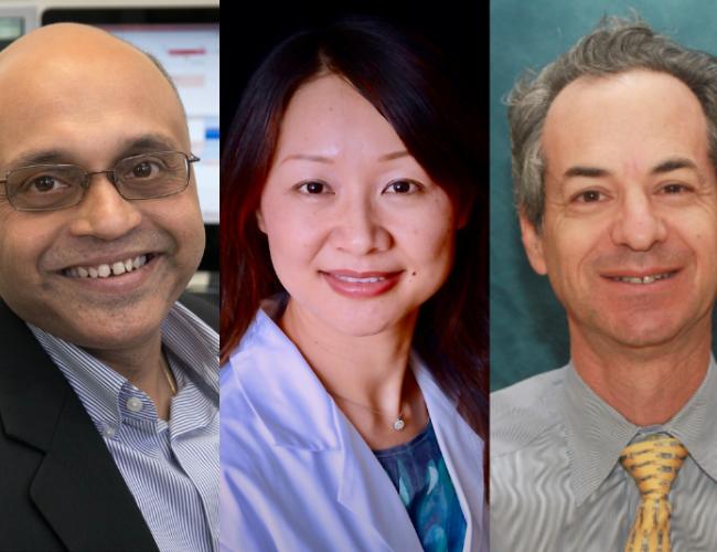 A collage featuring researchers Arjun Deb, Lily Yang and Gerald Lipshutz