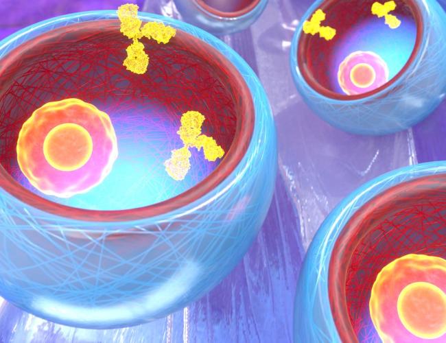 Graphic rendering of bowl-shaped microparticles. 