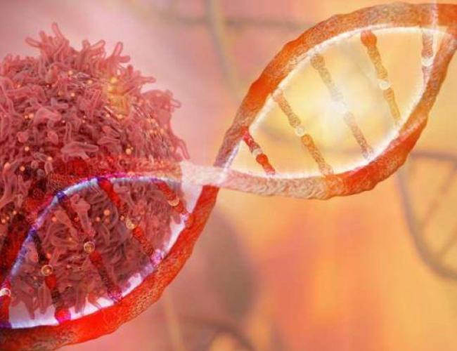 The progression of a tumor can reflect not only changes in the DNA bases themselves, but also epigenetics factors that determine the DNA’s structural conformation and the factors with which it interacts.