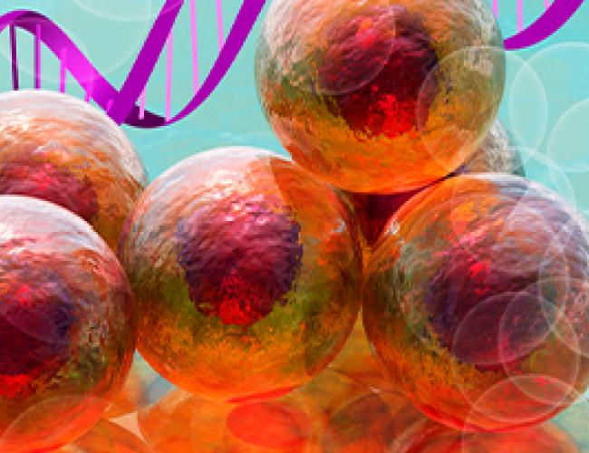 Cell Symposia: Gene and cell-based therapies: Progress in clinical translation