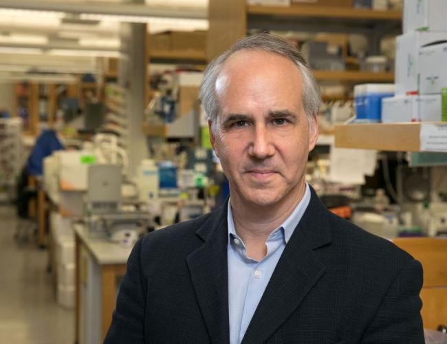 Researcher Daniel Geschwind stands smiling in a UCLA laboratory.