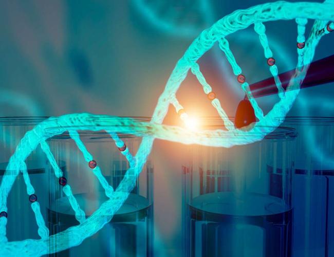 A graphic image of a DNA double helix.