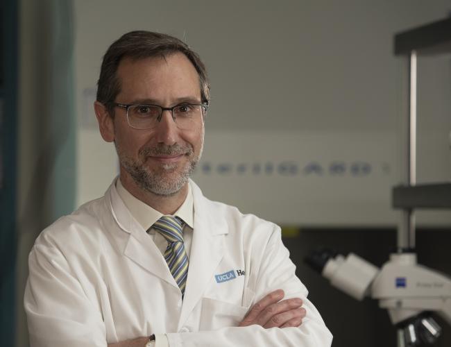 Dr. Antoni Ribas wears a labcoat and smiles in a UCLA laboratory. 