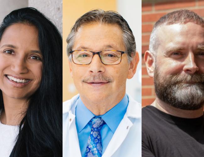 collage of UCLA researchers Aparna Bhaduri, Ph.D., Donald Kohn, M.D., Ph.D. and Roger Hollis, Ph.D.