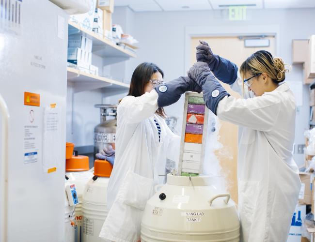 Two lab researchers in white coats and protective gloves remove a colorful sample rack from a liquid nitrogen cryogenic storage tank labeled "Yang Lab Tank F," with vapor rising from the container.