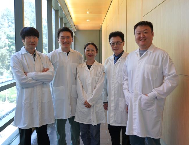 Five researchers, from left: Jae Min Cho, Yanruide Li, Lili Yang, Tzung Hsiai and Enbo Zhu, in white lab coats stand smiling in a sunlit hallway with floor-to-ceiling windows