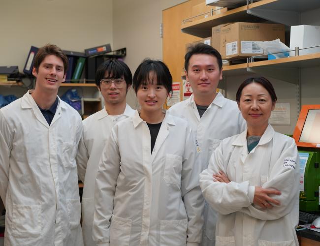 UCLA scientist Dr. Lili Yang stands beside her lab members.