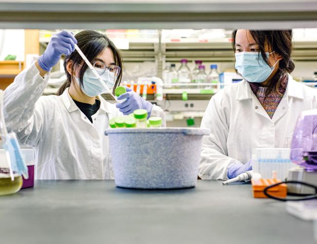 Melody Lab Members collaborating in lab using pipette and test tubes