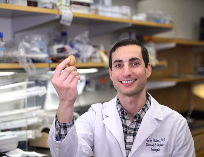 Andrew Goldstein photographed in a UCLA lab. 