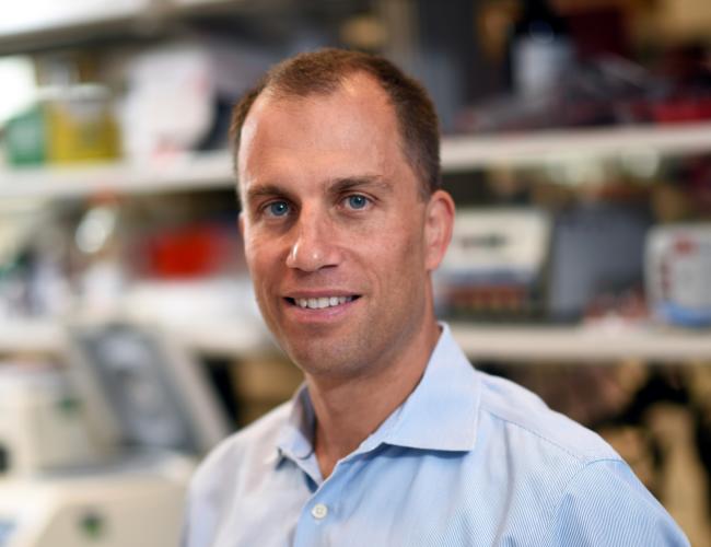 Andras Heczey, Ph.D.