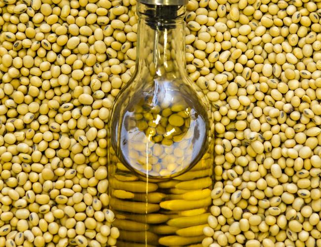 High oleic oil inside a glass battle sits among soybean seeds from variety tests at the Fisher Delta Research Center in Portageville, MO.