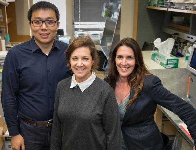 UCLA professors Huan Meng, Melissa Spencer and April Pyle pictured in a lab.